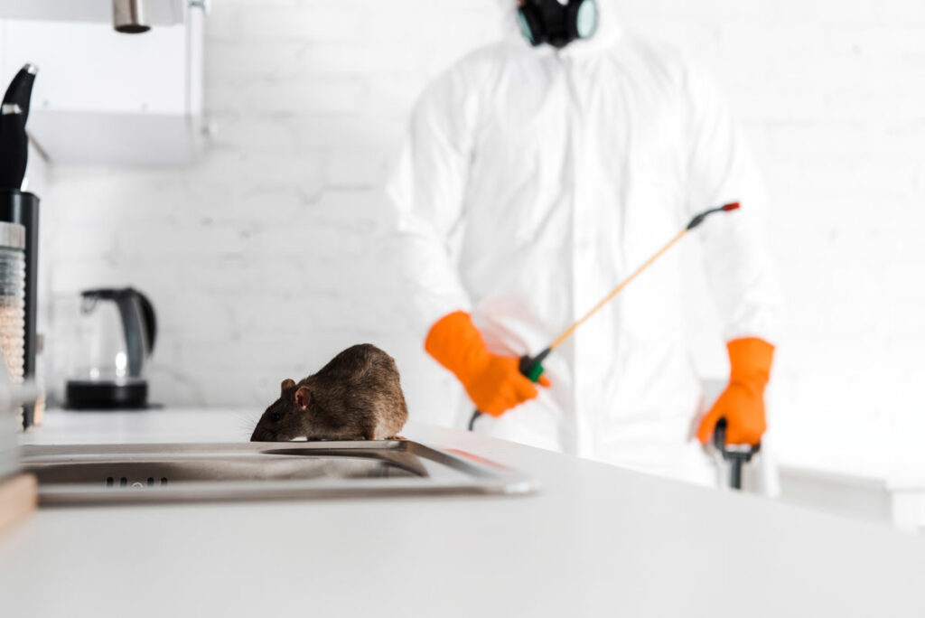 Pests Control